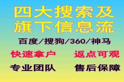 经典案例：SEM代运营服务公司的成功之路